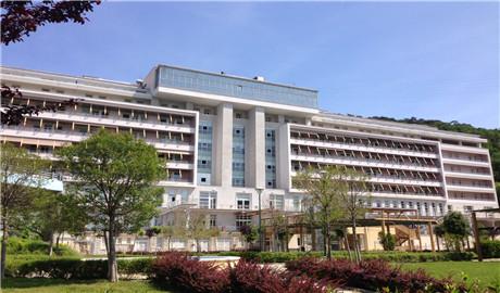  意大利的里雅斯特國際高等研究學校（Scuola Internazionale Superiore di Studi Avanzati di TRIESTE）長青藤海外