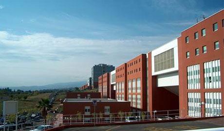  意大利卡拉布里亞大學（Università della CALABRIA）長青藤海外