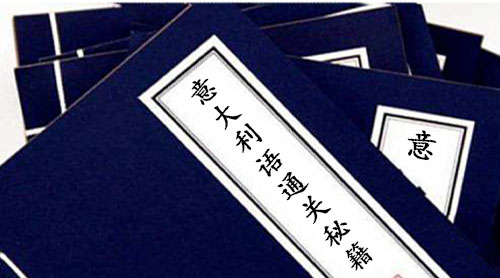 少俠留步,看你語(yǔ)言天賦奇高，我這有幾本