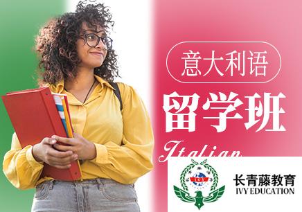 南寧意大利語培訓課程周末輔導班  意大利語語法輔導