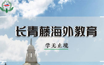 意大利語詞匯--Essere 和 Avere 的表達