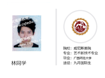 林同學-威尼斯美院