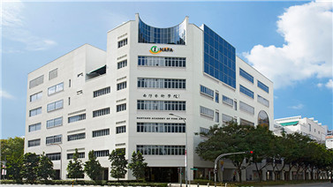 新加坡南洋藝術學院_Nanyang Academy of Fine Arts