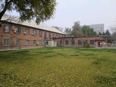 美國東北大學